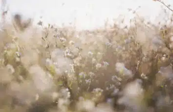 sezonowymi alergiami